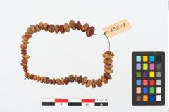 Foto von Perlenkette (NHMW-PRAE-025507)